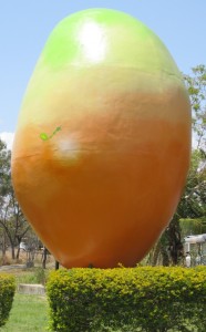 Big_Mango